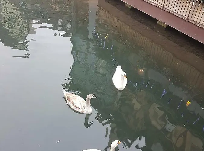 Les Colombages Lägenhet